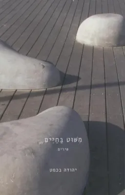 משוט בחיים