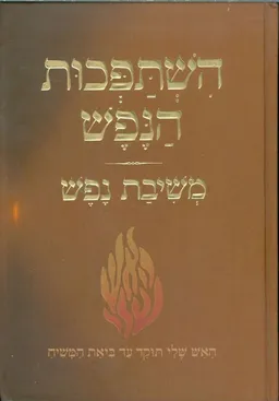 השתפכות הנפש משיבת נפש