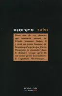 מיקרומגס