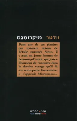 מיקרומגס