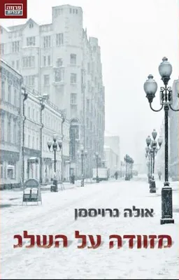 מזוודה על השלג