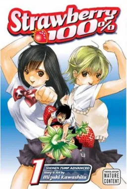 Strawberry 100%