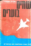 שמים בוערים : חיל-האוויר במלחמת יום הכפורים