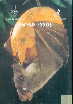 עטלפי ישראל