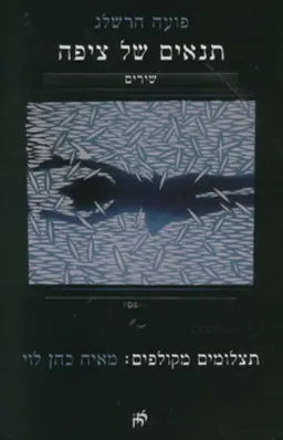 תנאים של ציפה