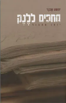 מחכים ללנק : יומן מהבור