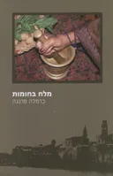 מלח בחומות