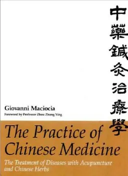 The Practice of Chinese Medicine