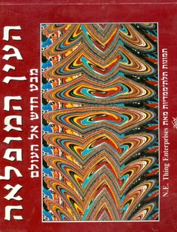 עטיפת הספר העין המופלאה : מבט חדש אל העולם מאת 
