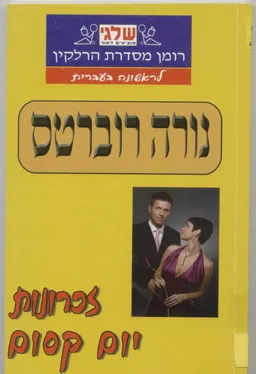 עטיפת הספר זכרונות יום קסום (367) מאת נורה רוברטס