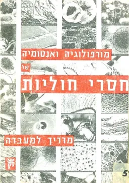 מורפולוגיה ואנטומיה של חסרי חוליות