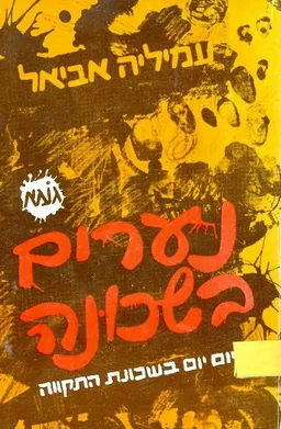 נערים בשכונה יום יום בשכונת התקווה
