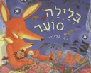 בלילה סוער