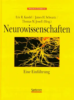 Neurowissenschaften: Eine Einführung