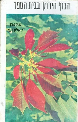 הנוף הירוק בבית-הספר