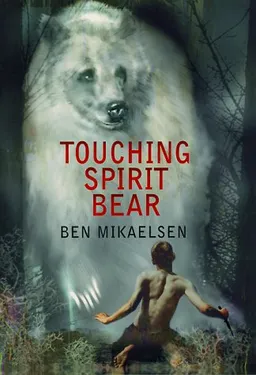 Touching Spirit Bear