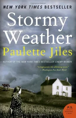 Stormy Weather: A Novel (P.S.)