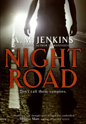 NIGHT ROAD