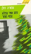 מזג אויר נפלא צפוי מחר