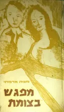 מפגש בצומת