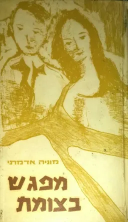 מפגש בצומת