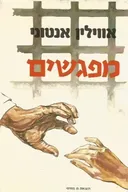 מפגשים
