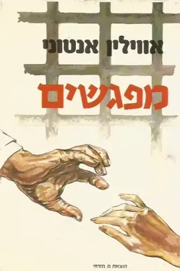 עטיפת הספר מפגשים מאת אוולין אנטוני