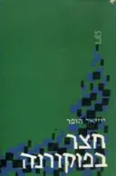 חצר בפוקורנה