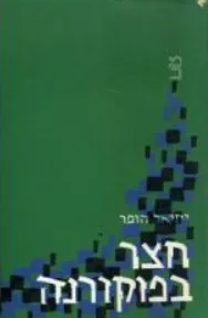 חצר בפוקורנה