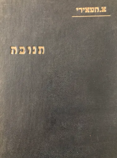 תנובה : רומן