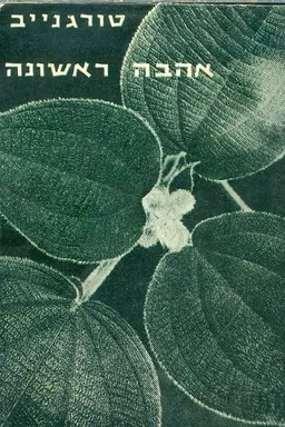 אהבה ראשונה (1967)
