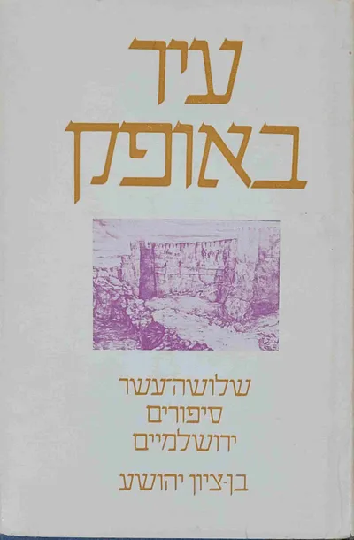 עיר באופק : שלושה-עשר סיפורים ירושלמיים