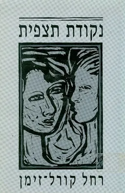 נקודת תצפית