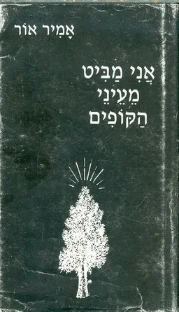 אני מביט מעיני הקופים