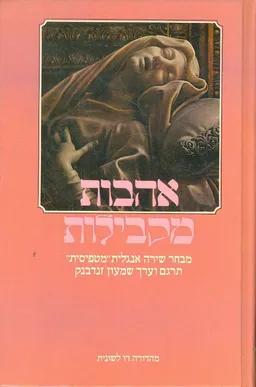 אהבות מקבילות