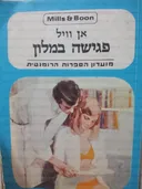 פגישה במלון