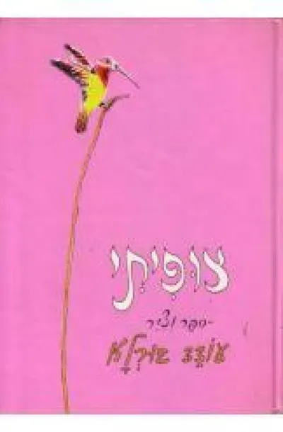 צופיתי