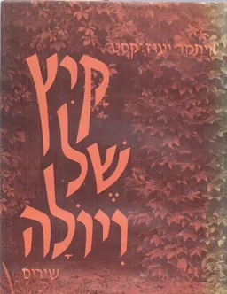 עטיפת הספר קיץ של ויולה מאת איתמר יעוז-קסט