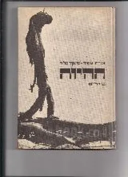עטיפת הספר תהיות [שירים] מאת אַנְדָה עמיר-פּינְקֶרְפֶלְד