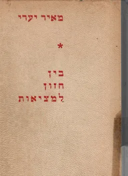 בין חזון למציאות