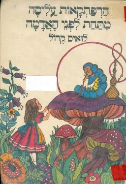 הרפתקאות עליסה מתחת לפני האדמה