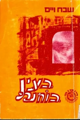 עטיפת הספר בעין בוחנת מאת שבח וייס