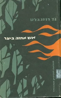 אש אחזה ביער