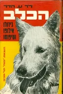 הכלב גידולו אילופו וטיפוחו