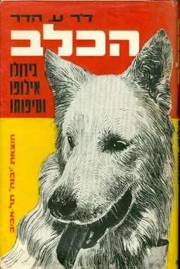 הכלב גידולו אילופו וטיפוחו