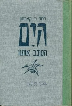 הים הסובב אותנו