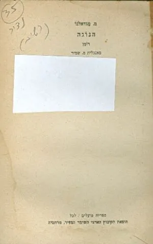 הנוגה : רומן