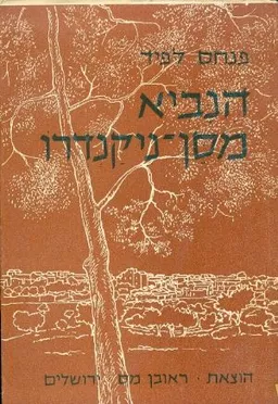 הנביא מסן-ניקנדרו