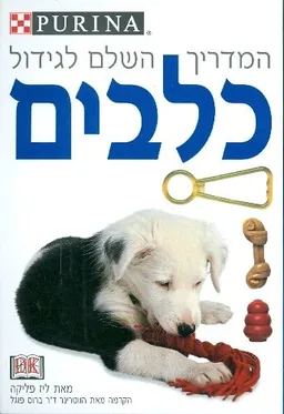 המדריך השלם לגידול כלבים
