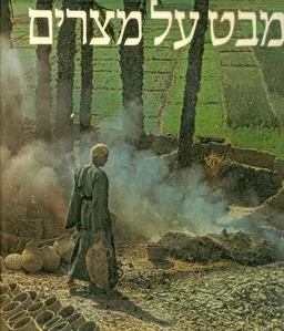 מבט על מצרים